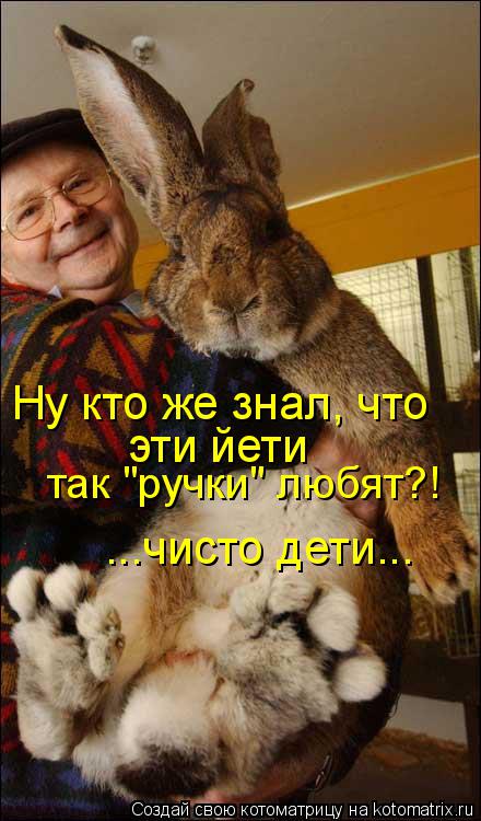 ...чисто дети... Ну кто же знал, что эти йети так "ручки" любят?!... Котоматрица: ...чисто дети... Ну кто же знал, что эти йети так "ручки" любят?!