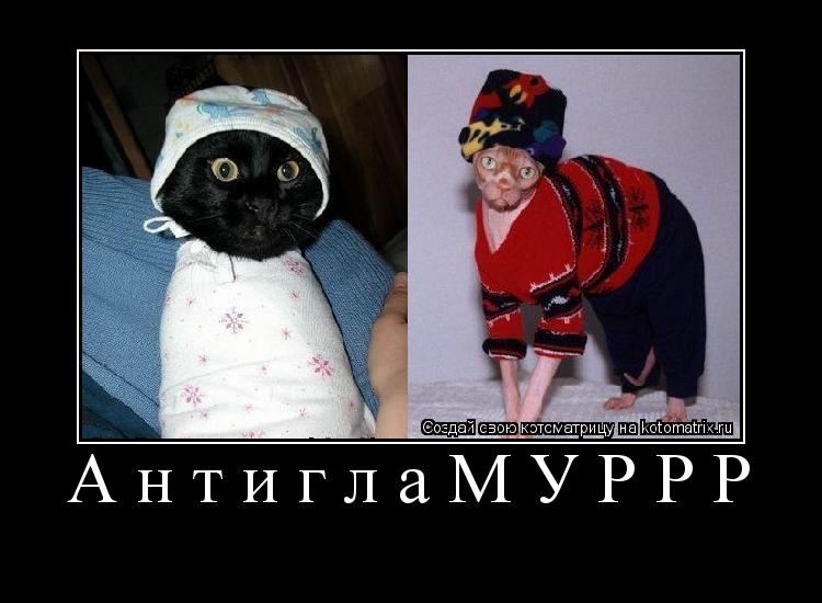 АнтиглаМУРРР ... Котоматрица: АнтиглаМУРРР