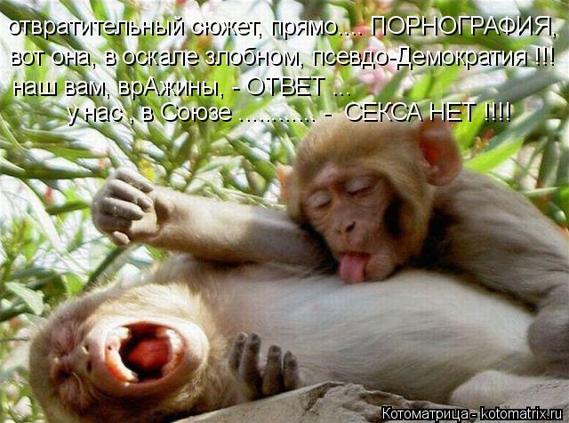 отвратительный сюжет, прямо.... ПОРНОГРАФИЯ, вот она, в оскале злобном, псевдо-Демократия !!! наш вам... Котоматрица: отвратительный сюжет, прямо.... ПОРНОГРАФИЯ, вот она, в оскале злобном, псевдо-Демократия !!! наш вам, врАжины, - ОТВЕТ ... у нас , в Союзе ............ -