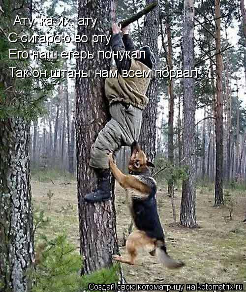 Ату, ка их, ату С сигарою во рту Его наш егерь понукал Так он штаны нам всем порвал... Котоматрица: Ату, ка их, ату С сигарою во рту Его наш егерь понукал Так он штаны нам всем порвал