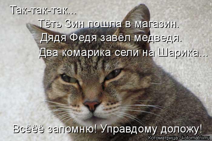 Так-так-так... Два комарика сели на Шарика... Всёёё запомню! Управдому доложу! Тёть Зин пошла в магаз... Котоматрица: Так-так-так... Два комарика сели на Шарика... Всёёё запомню! Управдому доложу! Тёть Зин пошла в магазин. Дядя Федя завёл медведя.