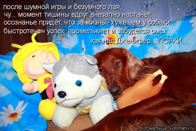 после шумной игры и безумного лая, чу... момент тишины вдруг внезапно настанет, осознанье придёт, что... Котоматрица: после шумной игры и безумного лая, чу... момент тишины вдруг внезапно настанет, осознанье придёт, что за жизнь - хуже чем у собаки... быстротеч