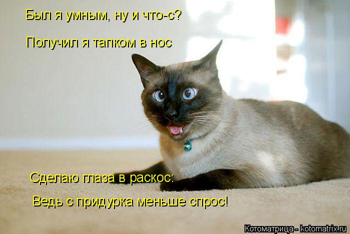 Был я умным, ну и что-с? Получил я тапком в нос Сделаю глаза в раскос: Ведь с придурка меньше спрос!... Котоматрица: Был я умным, ну и что-с? Получил я тапком в нос Сделаю глаза в раскос: Ведь с придурка меньше спрос!