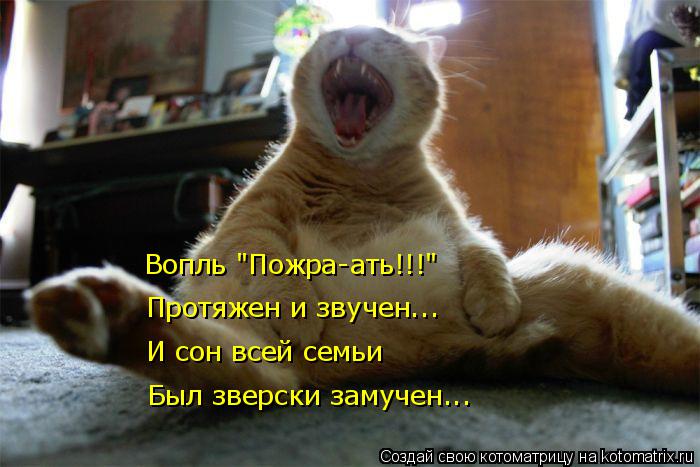 Вопль "Пожра-ать!!!" Протяжен и звучен... И сон всей семьи Был зверски замучен...... Котоматрица: Вопль "Пожра-ать!!!" Протяжен и звучен... И сон всей семьи Был зверски замучен...