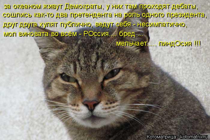 за океаном живут Демократы, у них там проходят дебаты, сошлись как-то два претендента на роль одного ... Котоматрица: за океаном живут Демократы, у них там проходят дебаты, сошлись как-то два претендента на роль одного президента, друг друга хулят публично,