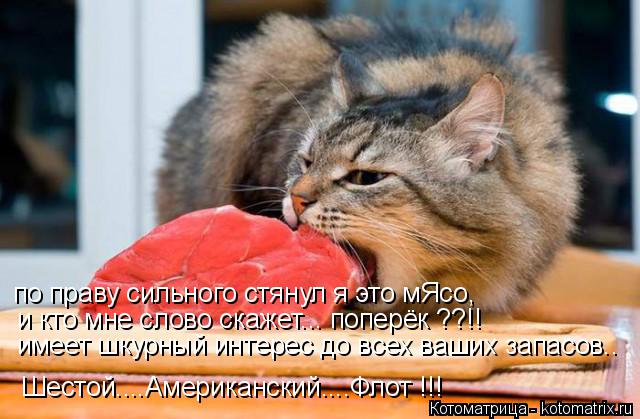 по праву сильного стянул я это мЯсо, и кто мне слово скажет... поперёк ??!! имеет шкурный интерес до ... Котоматрица: по праву сильного стянул я это мЯсо, и кто мне слово скажет... поперёк ??!! имеет шкурный интерес до всех ваших запасов.. Шестой....Американский..