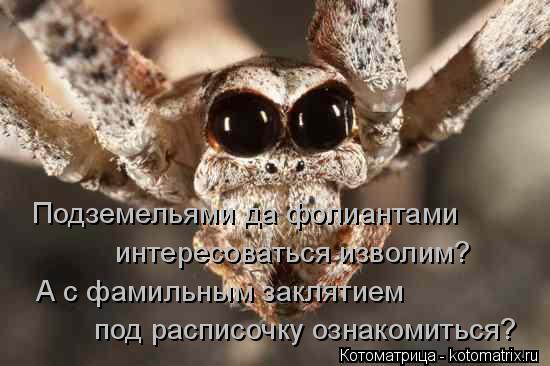 под расписочку ознакомиться? Подземельями да фолиантами интересоваться изволим? А с фамильным закляти... Котоматрица: под расписочку ознакомиться? Подземельями да фолиантами интересоваться изволим? А с фамильным заклятием