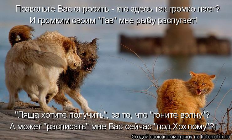 Позвольте Вас спросить - кто здесь так громко лает? И громким своим "Гав" мне рыбу распугает! А может... Котоматрица: Позвольте Вас спросить - кто здесь так громко лает? И громким своим "Гав" мне рыбу распугает! А может "расписать" мне Вас сейчас "под Хохлому"?!