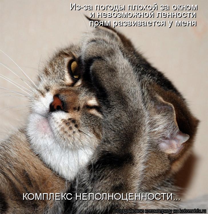 Из-за погоды плохой за окном и невозможной ленности прям развивается у меня КОМПЛЕКС НЕПОЛНОЦЕННОСТ... Котоматрица: Из-за погоды плохой за окном и невозможной ленности прям развивается у меня КОМПЛЕКС НЕПОЛНОЦЕННОСТИ...