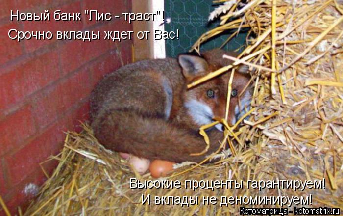 Что делать если курица не может ходить Что делать если курица не может ходить