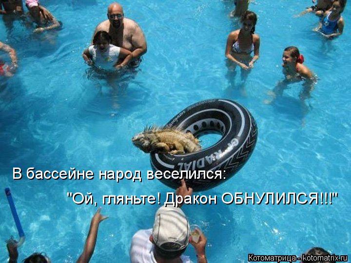"Ой, гляньте! Дракон ОБНУЛИЛСЯ!!!" В бассейне народ веселился:... Котоматрица: "Ой, гляньте! Дракон ОБНУЛИЛСЯ!!!" В бассейне народ веселился: