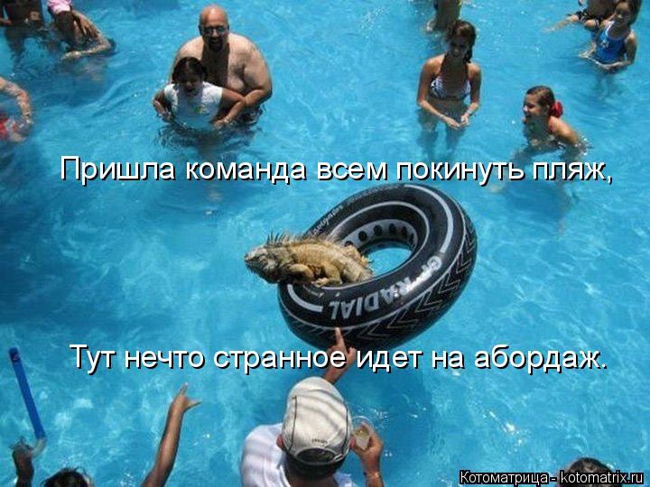 Пришла команда всем покинуть пляж, Тут нечто странное идет на абордаж.... Котоматрица: Пришла команда всем покинуть пляж, Тут нечто странное идет на абордаж.