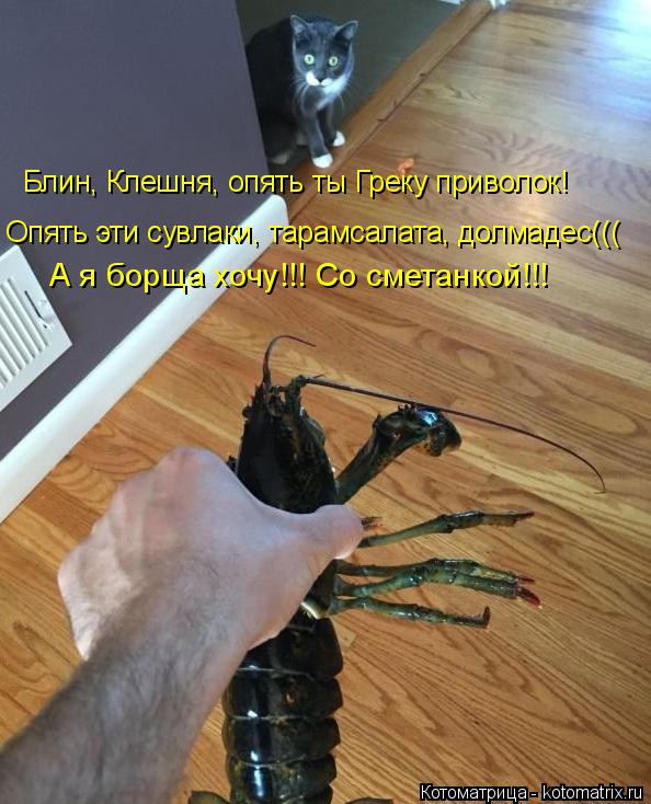 А я борща хочу!!! Со сметанкой!!! Блин, Клешня, опять ты Греку приволок! Опять эти сувлаки, тарамсала... Котоматрица: А я борща хочу!!! Со сметанкой!!! Блин, Клешня, опять ты Греку приволок! Опять эти сувлаки, тарамсалата, долмадес(((