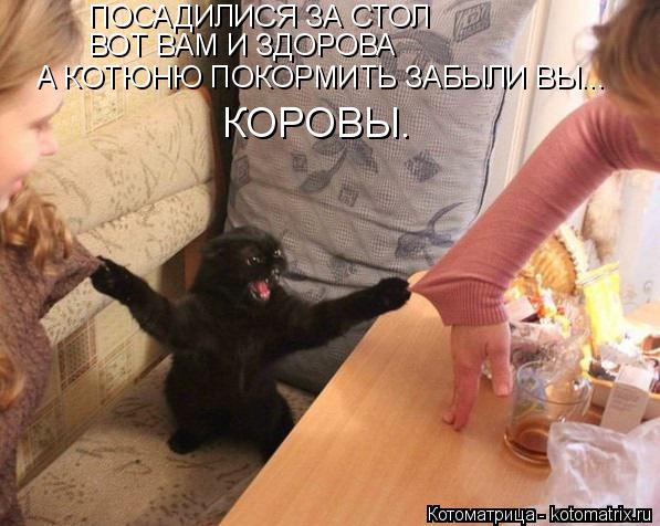 ПОСАДИЛИСЯ ЗА СТОЛ ВОТ ВАМ И ЗДОРОВА А КОТЮНЮ ПОКОРМИТЬ ЗАБЫЛИ ВЫ... КОРОВЫ.... Котоматрица: ПОСАДИЛИСЯ ЗА СТОЛ ВОТ ВАМ И ЗДОРОВА А КОТЮНЮ ПОКОРМИТЬ ЗАБЫЛИ ВЫ... КОРОВЫ.