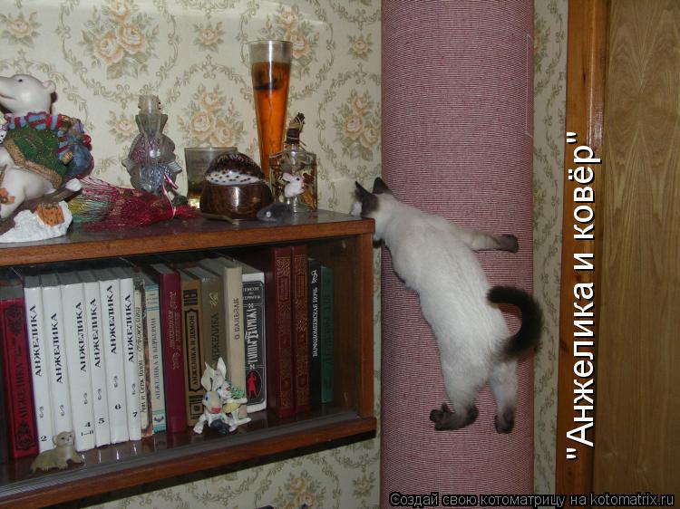 "Анжелика и ковёр"... Котоматрица: "Анжелика и ковёр"