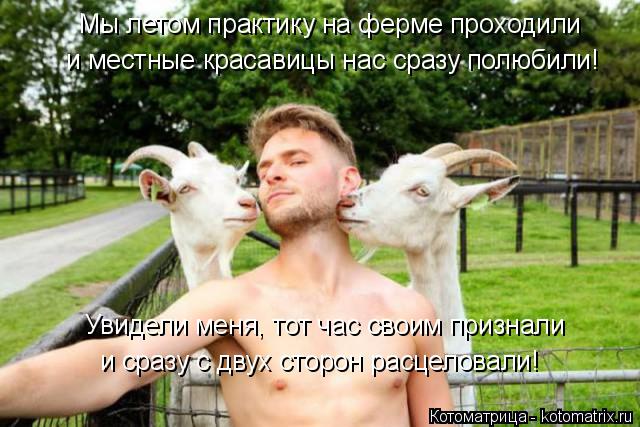 Мы летом практику на ферме проходили и местные красавицы нас сразу полюбили! Увидели меня, тот час с... Котоматрица: Мы летом практику на ферме проходили и местные красавицы нас сразу полюбили! Увидели меня, тот час своим признали и сразу с двух сторон рас