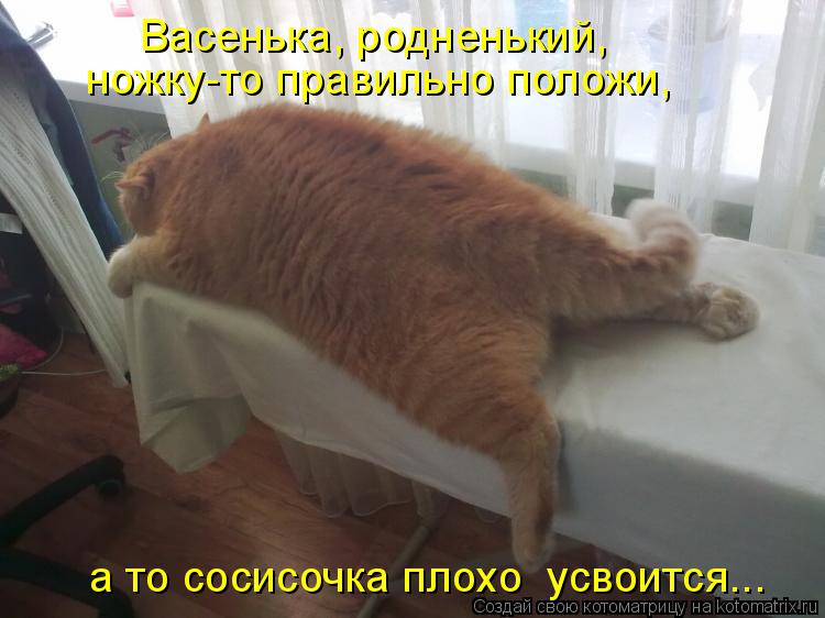 а то сосисочка плохо усвоится... Васенька, родненький, ножку-то правильно положи,... Котоматрица: а то сосисочка плохо усвоится... Васенька, родненький, ножку-то правильно положи,