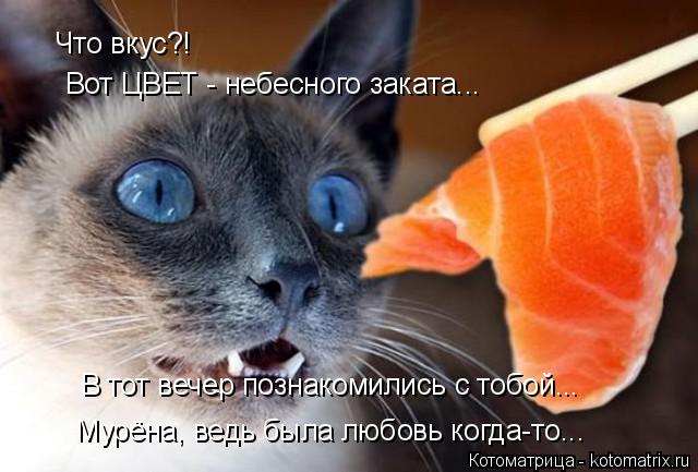 Что вкус?! Вот ЦВЕТ - небесного заката... В тот вечер познакомились с тобой... Мурёна, ведь была любо... Котоматрица: Что вкус?! Вот ЦВЕТ - небесного заката... В тот вечер познакомились с тобой... Мурёна, ведь была любовь когда-то...