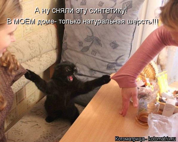 А ну сняли эту синтетику! В МОЁМ доме- только натуральная шерсть!!!... Котоматрица: А ну сняли эту синтетику! В МОЁМ доме- только натуральная шерсть!!!