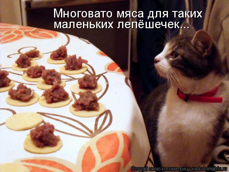 Многовато мяса для таких маленьких лепёшечек...... Котоматрица: Многовато мяса для таких маленьких лепёшечек...