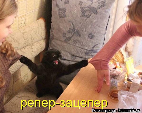 репер-зацепер... Котоматрица: репер-зацепер