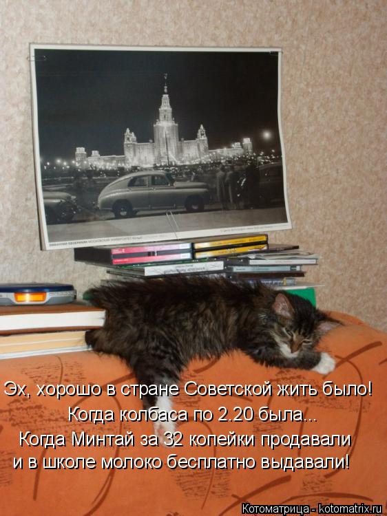 Эх, хорошо в стране Советской жить было! Когда колбаса по 2.20 была... Когда Минтай за 32 копейки про... Котоматрица: Эх, хорошо в стране Советской жить было! Когда колбаса по 2.20 была... Когда Минтай за 32 копейки продавали и в школе молоко бесплатно выдавали!