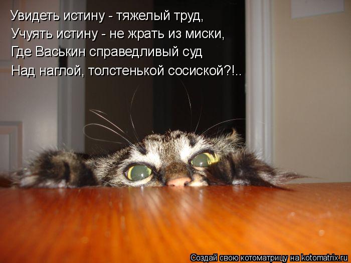 Увидеть истину - тяжелый труд, Учуять истину - не жрать из миски, Где Васькин справедливый суд Над на... Котоматрица: Увидеть истину - тяжелый труд, Учуять истину - не жрать из миски, Где Васькин справедливый суд Над наглой, толстенькой сосиской?!..