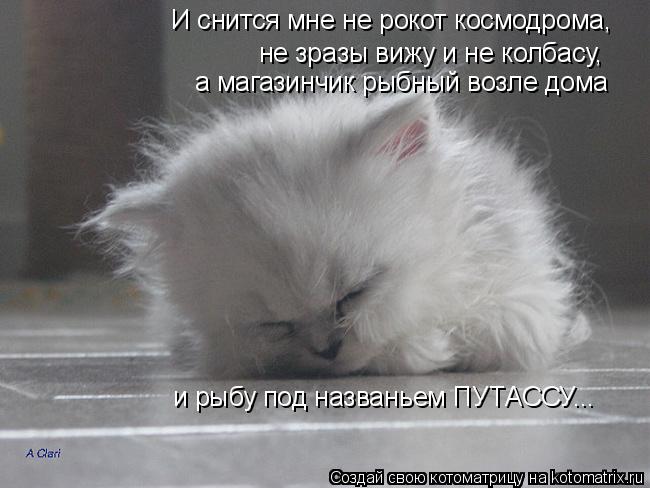 И снится мне не рокот космодрома, не зразы вижу и не колбасу, а магазинчик рыбный возле дома и рыбу ... Котоматрица: И снится мне не рокот космодрома, не зразы вижу и не колбасу, а магазинчик рыбный возле дома и рыбу под названьем ПУТАССУ...