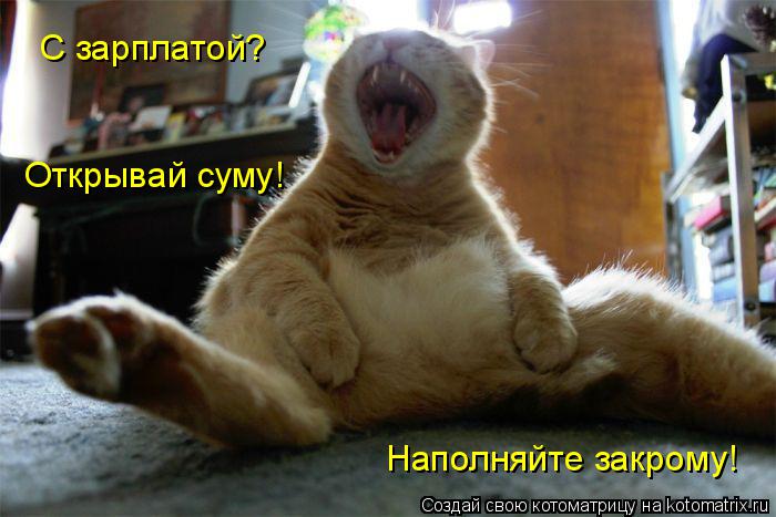 С зарплатой? Наполняйте закрому! Открывай суму!... Котоматрица: С зарплатой? Наполняйте закрому! Открывай суму!