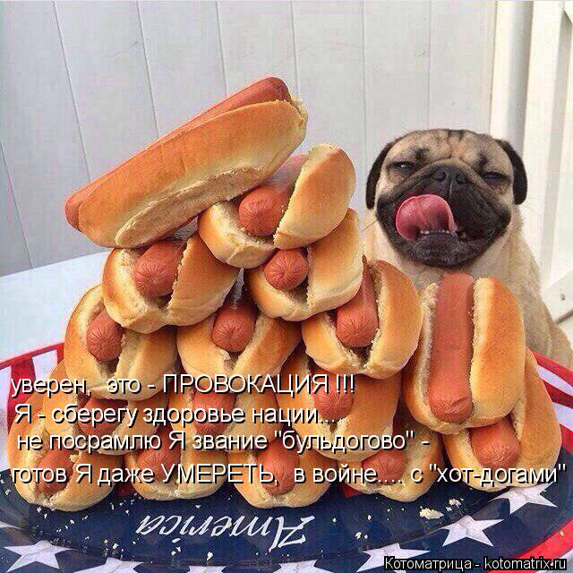 уверен, это - ПРОВОКАЦИЯ !!! Я - сберегу здоровье нации... Я - сберегу здоровье нации... не посрамлю... Котоматрица: уверен, это - ПРОВОКАЦИЯ !!! Я - сберегу здоровье нации... Я - сберегу здоровье нации... не посрамлю Я звание "бульдогово" - готов Я даже УМЕРЕТЬ,