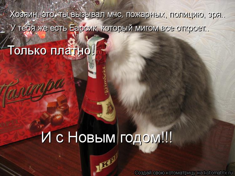 Хозяин, это, ты вызывал мчс, пожарных, полицию, зря.. У тебя же есть Барсик, который мигом все открое... Котоматрица: Хозяин, это, ты вызывал мчс, пожарных, полицию, зря.. У тебя же есть Барсик, который мигом все откроет.. Только платно! И с Новым годом!!!