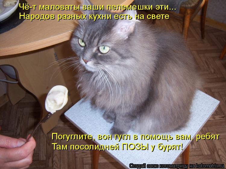 Народов разных кухни есть на свете Погуглите, вон гугл в помощь вам, ребят Там посолидней ПОЗЫ у буря... Котоматрица: Народов разных кухни есть на свете Погуглите, вон гугл в помощь вам, ребят Там посолидней ПОЗЫ у бурят! Чё-т маловаты ваши пелемешки эти...
