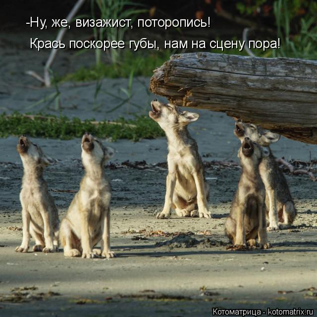 -Ну, же, визажист, поторопись! Крась поскорее губы, нам на сцену пора!... Котоматрица: -Ну, же, визажист, поторопись! Крась поскорее губы, нам на сцену пора!