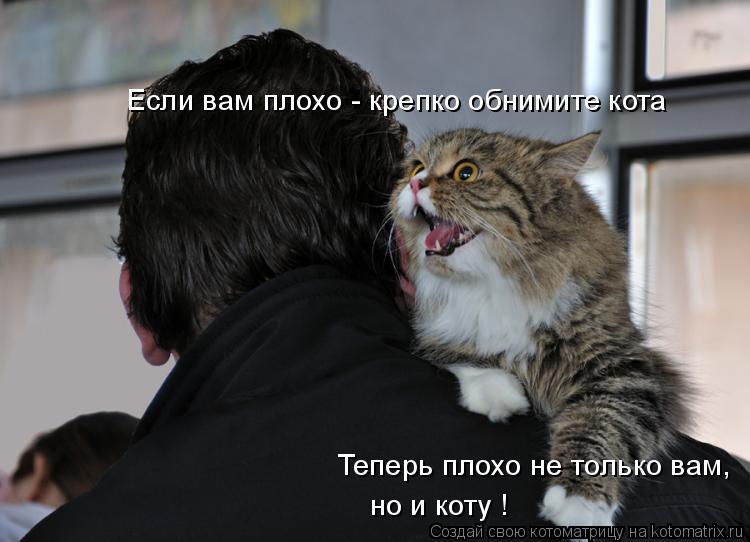 Если вам плохо - крепко обнимите кота Теперь плохо не только вам, но и коту !... Котоматрица: Если вам плохо - крепко обнимите кота Теперь плохо не только вам, но и коту !
