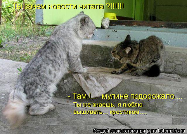 - Ты зачем новости читала ?!!!!!! - Там !... мулине подорожало.... Ты же знаешь, я люблю вышивать...... Котоматрица: - Ты зачем новости читала ?!!!!!! - Там !... мулине подорожало.... Ты же знаешь, я люблю вышивать... крестиком....