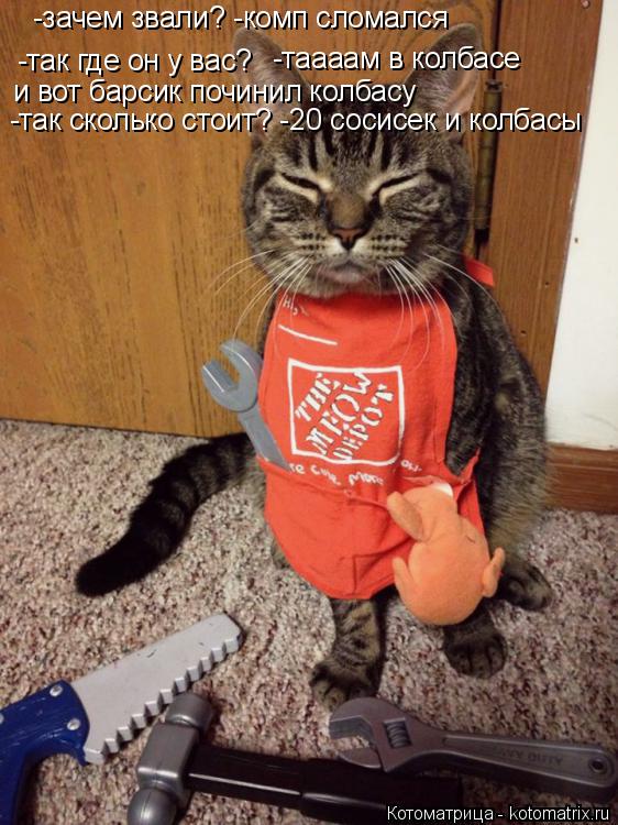 -так где он у вас? -таааам в колбасе и вот барсик починил колбасу -так сколько стоит? -20 сосисек и к... Котоматрица: -так где он у вас? -таааам в колбасе и вот барсик починил колбасу -так сколько стоит? -20 сосисек и колбасы -зачем звали? -комп сломался