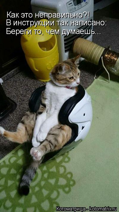 Как это неправильно?! В инструкции так написано: Береги то, чем думаешь...... Котоматрица: Как это неправильно?! В инструкции так написано: Береги то, чем думаешь...