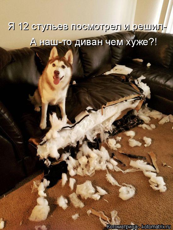 Я 12 стульев посмотрел и решил- А наш-то диван чем хуже?!... Котоматрица: Я 12 стульев посмотрел и решил- А наш-то диван чем хуже?!
