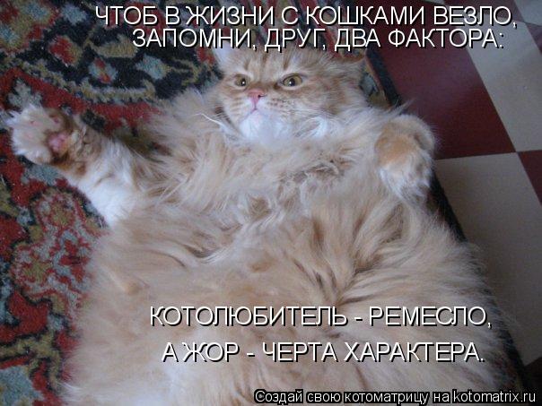 ЧТОБ В ЖИЗНИ С КОШКАМИ ВЕЗЛО, ЗАПОМНИ, ДРУГ, ДВА ФАКТОРА: КОТОЛЮБИТЕЛЬ - РЕМЕСЛО, А ЖОР - ЧЕРТА ХАР... Котоматрица: ЧТОБ В ЖИЗНИ С КОШКАМИ ВЕЗЛО, ЗАПОМНИ, ДРУГ, ДВА ФАКТОРА: КОТОЛЮБИТЕЛЬ - РЕМЕСЛО, А ЖОР - ЧЕРТА ХАРАКТЕРА.