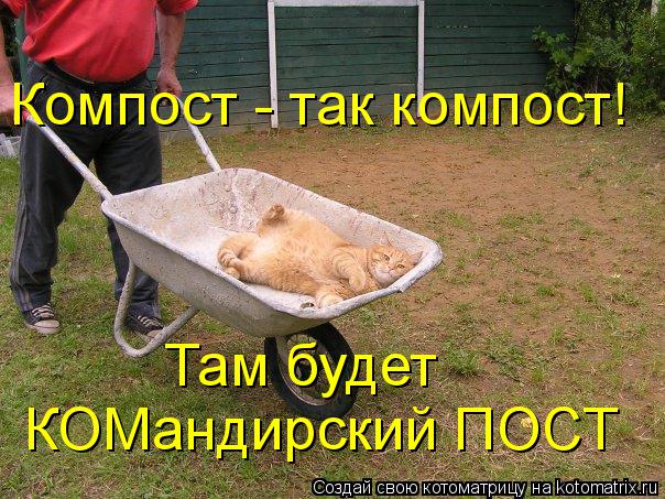 Компост - так компост! Там будет КОМандирский ПОСТ... Котоматрица: Компост - так компост! Там будет КОМандирский ПОСТ