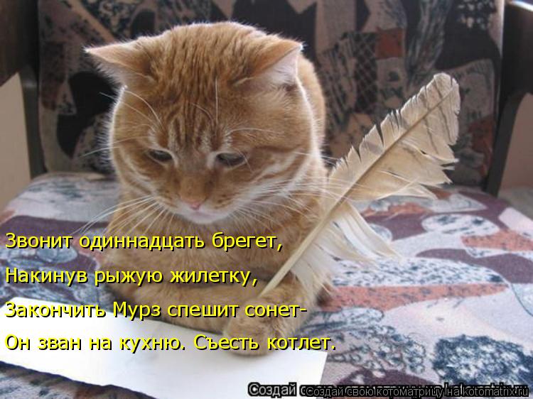 Звонит одиннадцать брегет, Накинув рыжую жилетку, Закончить Мурз спешит сонет- Он зван на кухню. Съес... Котоматрица: Звонит одиннадцать брегет, Накинув рыжую жилетку, Закончить Мурз спешит сонет- Он зван на кухню. Съесть котлет.