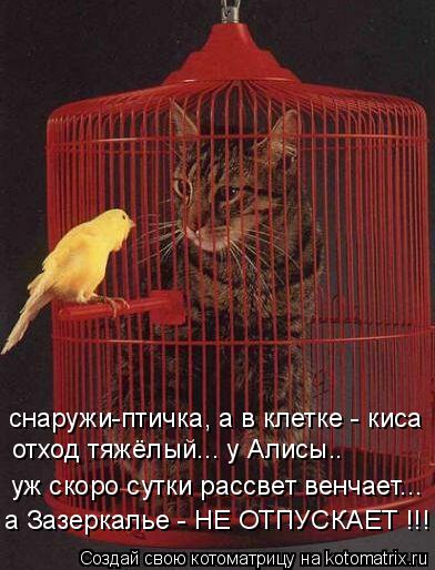 снаружи-птичка, а в клетке - киса отход тяжёлый... у Алисы.. а Зазеркалье - НЕ ОТПУСКАЕТ !!! уж скоро... Котоматрица: снаружи-птичка, а в клетке - киса отход тяжёлый... у Алисы.. а Зазеркалье - НЕ ОТПУСКАЕТ !!! уж скоро сутки рассвет венчает...
