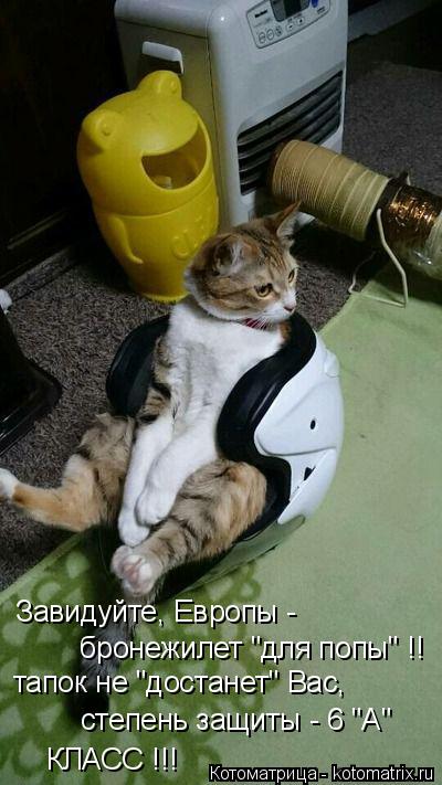 Завидуйте, Европы - бронежилет "для попы" !! тапок не "достанет" Вас, степень защиты - 6 "А" КЛАСС !... Котоматрица: Завидуйте, Европы - бронежилет "для попы" !! тапок не "достанет" Вас, степень защиты - 6 "А" КЛАСС !!!