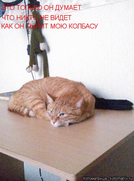 ЭТО ТОЛЬКО ОН ДУМАЕТ ЧТО НИКТО НЕ ВИДЕТ КАК ОН ТЫРИТ МОЮ КОЛБАСУ... Котоматрица: ЭТО ТОЛЬКО ОН ДУМАЕТ ЧТО НИКТО НЕ ВИДЕТ КАК ОН ТЫРИТ МОЮ КОЛБАСУ