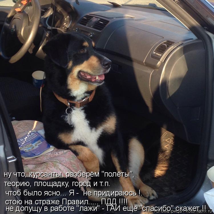 ну что, курсанты, разберём "полёты", теорию, площадку, город и т.п. чтоб было ясно... Я - не придира... Котоматрица: ну что, курсанты, разберём "полёты", теорию, площадку, город и т.п. чтоб было ясно... Я - не придираюсь !. стою на страже Правил..... ПДД !!!! не допущ