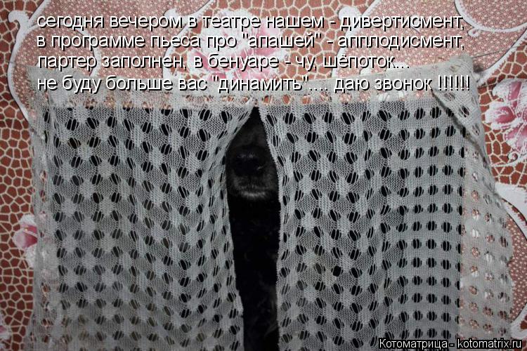 сегодня вечером в театре нашем - дивертисмент, в программе пьеса про "апашей" - апплодисмент, партер ... Котоматрица: сегодня вечером в театре нашем - дивертисмент, в программе пьеса про "апашей" - апплодисмент, партер заполнен, в бенуаре - чу, шёпоток... не буд