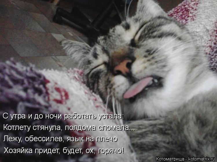 С утра и до ночи работать устала: Котлету стянула, полдома сломала... Лежу, обессилев, язык на плечо ... Котоматрица: С утра и до ночи работать устала: Котлету стянула, полдома сломала... Лежу, обессилев, язык на плечо Хозяйка придет, будет, ох, горячо!
