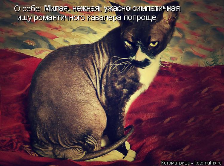 О себе: Милая, нежная. ужасно симпатичная Милая, нежная. ужасно симпатичная ищу романтичного кавалера... Котоматрица: О себе: Милая, нежная. ужасно симпатичная Милая, нежная. ужасно симпатичная ищу романтичного кавалера попроще