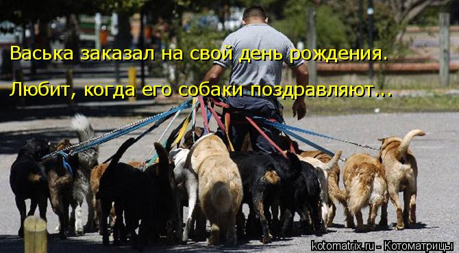 Любит, когда его собаки поздравляют... Васька заказал на свой день рождения.... Котоматрица: Любит, когда его собаки поздравляют... Васька заказал на свой день рождения.