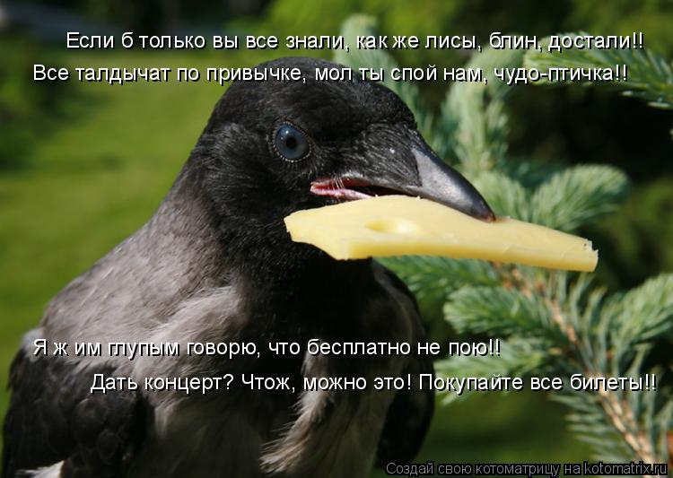 Если б только вы все знали, как же лисы, блин, достали!! Все талдычат по привычке, мол ты спой нам, ч... Котоматрица: Если б только вы все знали, как же лисы, блин, достали!! Все талдычат по привычке, мол ты спой нам, чудо-птичка!! Я ж им глупым говорю, что беспла
